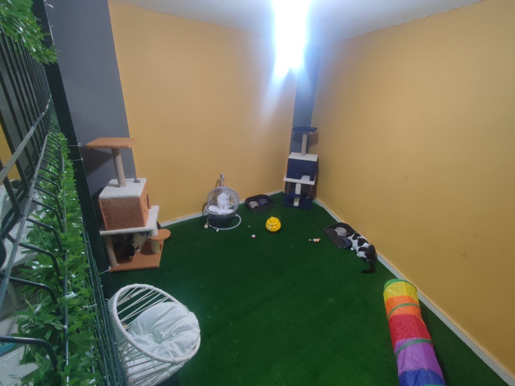 VillaPark Veteriner Kliniği Işıklı Duvar Logosu ve Özel Tasarım Kedi Salıncağı