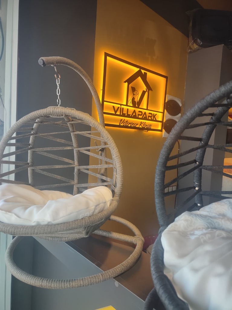 VillaPark Veteriner Kliniği Çim Zeminli Kedi Aktivite ve Tırmalama Oyun Alanı