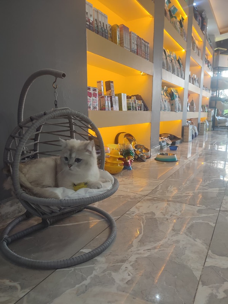 VillaPark Veteriner Kliniği Modern Dinlenme ve Hasta Bakım Ortamı